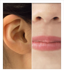 加賀耳鼻咽喉科クリニック みみはな ちびコラム 耳垢について